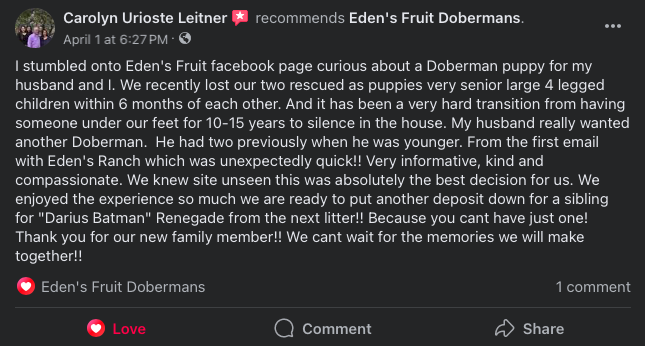 Read our testimonials and recommendations on our Facebook page @edensfruitranch!